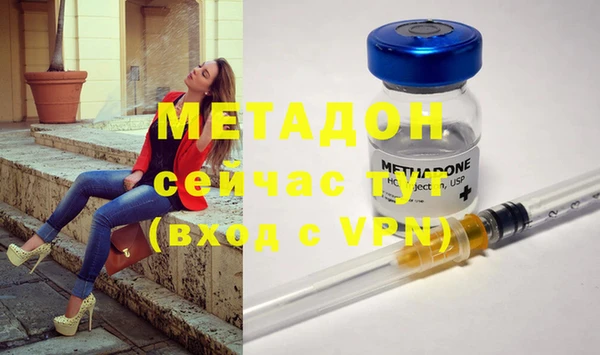 стаф Алексин